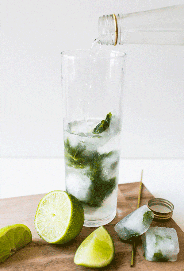 MojitoIceCubeGIF