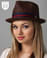 Somber Brown Fedora by Brixton