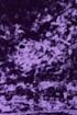 69562d-2.jpg