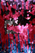 75222d-1.jpg