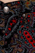 76054d.jpg
