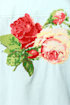 85602d.jpg