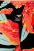 87050d.jpg