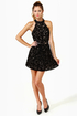 Velvet-iculture Black Halter Dress