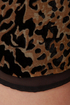 Bobcat Burnout Leopard Print Shorts