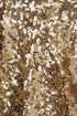Fascination Street Gold Sequin Shorts