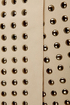 Blaque Label Studfest Studded Beige Jacket