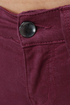 Level 99 Janice Ultra Skinny Burgundy Jeggings