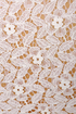 Hillary Black and Beige Lace Dress