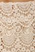 Afternoon Moon Cream Lace Mini Skirt