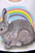 Local Celebrity Rainbow Bunny Muscle Tee
