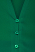 Mica Dust Sheer Green Top