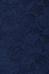Tulle Short-Listed Navy Blue Lace Shorts