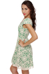 Right Lace Right Time Green and Cream Lace Dress