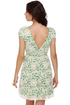 Right Lace Right Time Green and Cream Lace Dress