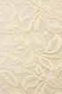 Hot Prance High-Waisted Cream Lace Shorts