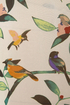 Bird is the Word Print Ivory Top