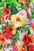 Peek-a-Bouquet Fuchsia and Floral Dress