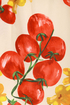 You Say Tomato Print Skirt