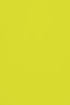 V-sionary Chartreuse Top