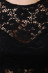 Sheer and There Black Lace Dress