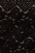 Pantaloon-ey Tunes Black Lace Shorts