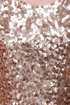 Flashbulb Gold Sequin Top