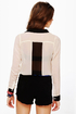 Olive & Oak Sonny and Sheer Black and Cream Top