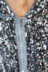 News Flash Silver Sequin Dress