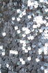 News Flash Silver Sequin Dress