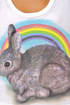 Local Celebrity Rainbow Bunny Muscle Tee