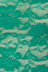 One Rad Girl Lauren Green Lace Dress