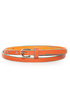 Brighten Up Teal and Orange Belt