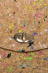 Pollock Pouch Multi Cork Clutch