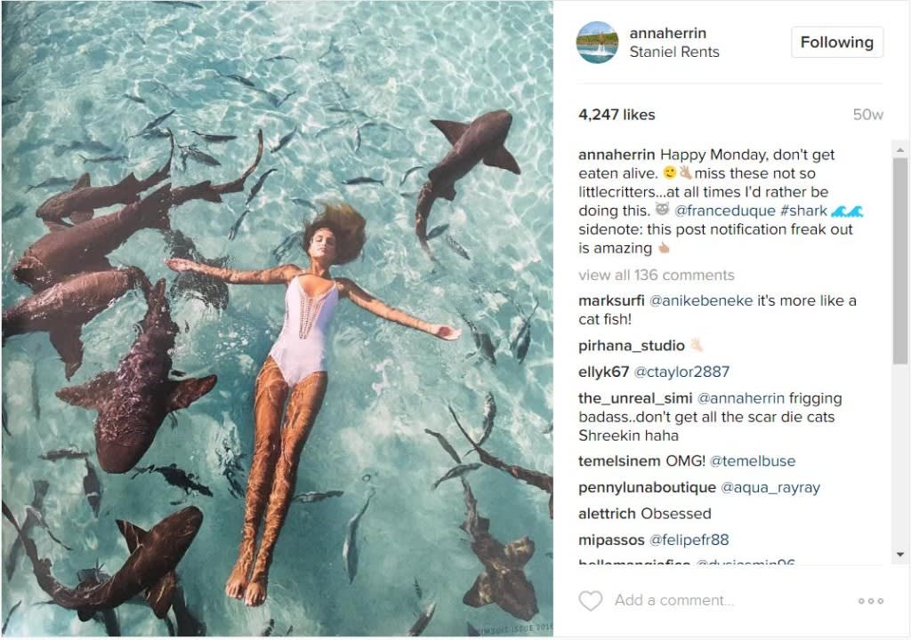 Model Moment: Anna Herrin swims with sharks