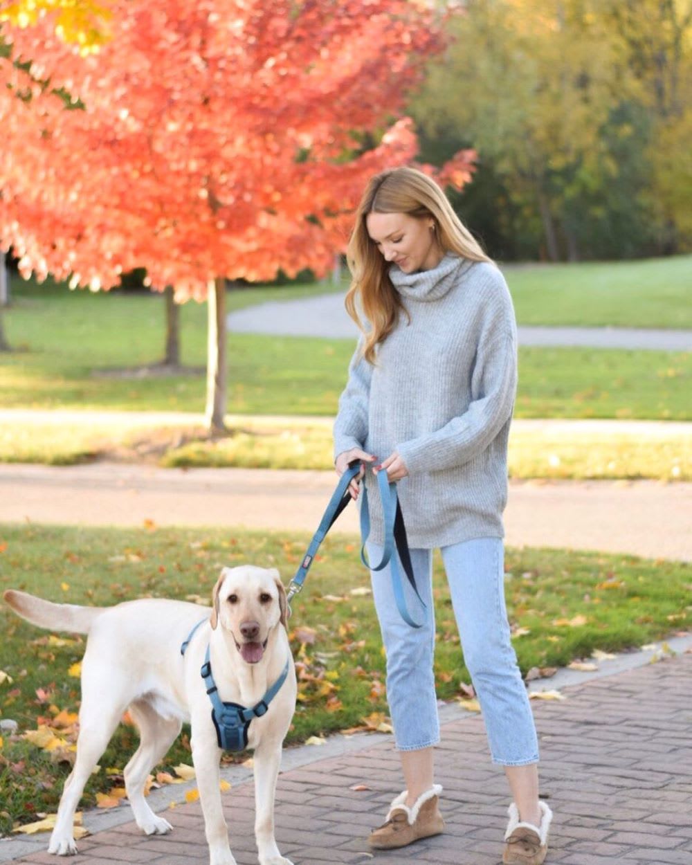 what to do on thanksgiving: woman walking her dog