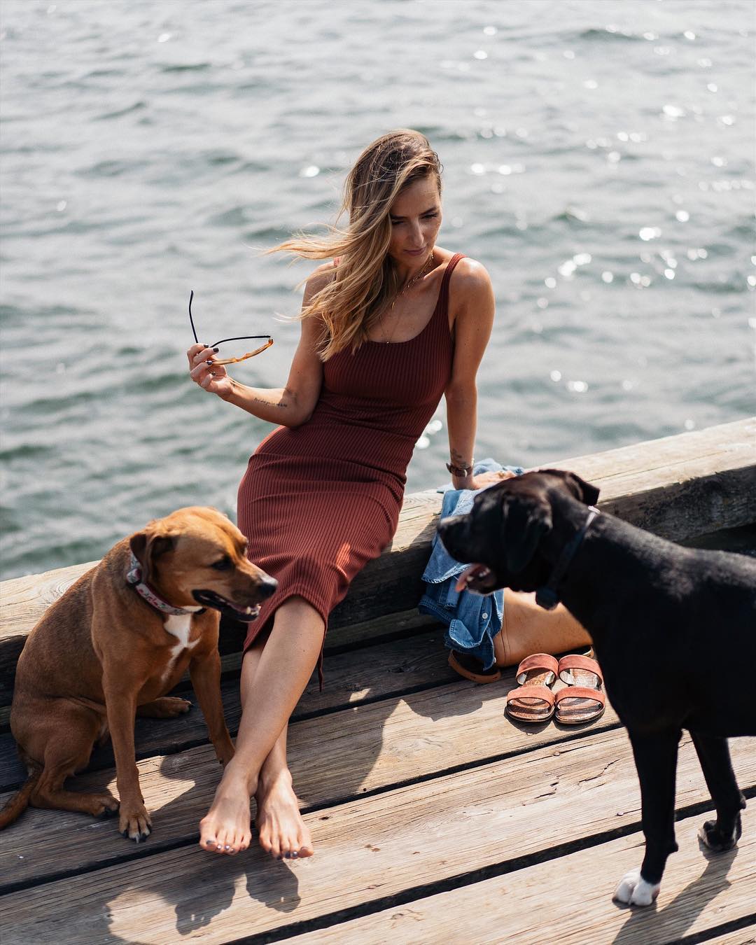 blogger jess ann kirby dogs