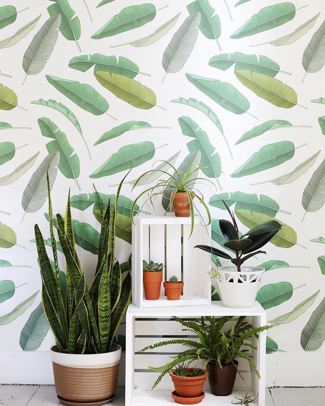 leaf print peel and stick wallpaper from walls need love - temporary wallpaper, stick on wallpaper, removable wall murals, peel and stick removable wallpaper, best removable wallpaper