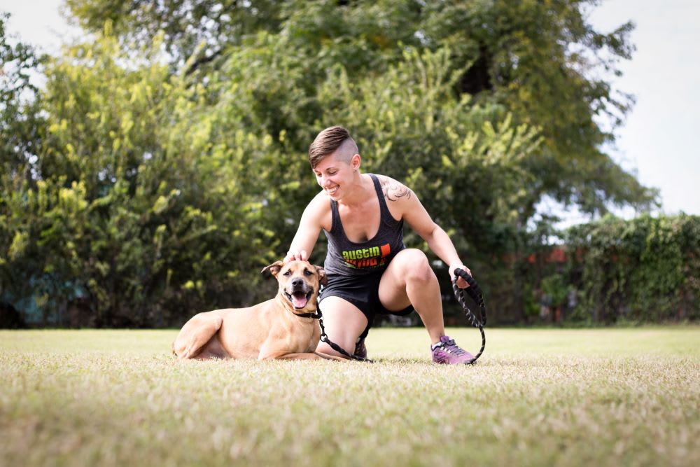 adoptable dog from rescue group of the month Austin Pets Alive! - Texas animal rescue -animal adoption -adopt a dog