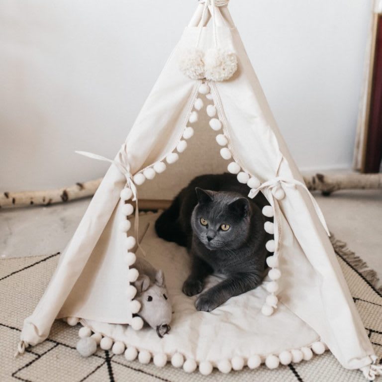 Best Pet Accessories Cute Dog Beds, Chic Cat Trees, and More for Your Home