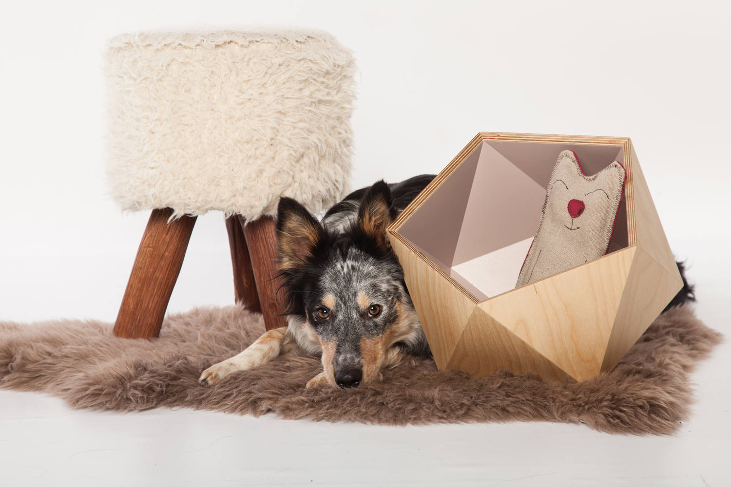 Best Pet Accessories Cute Dog Beds Chic Cat Trees and More for Your Home