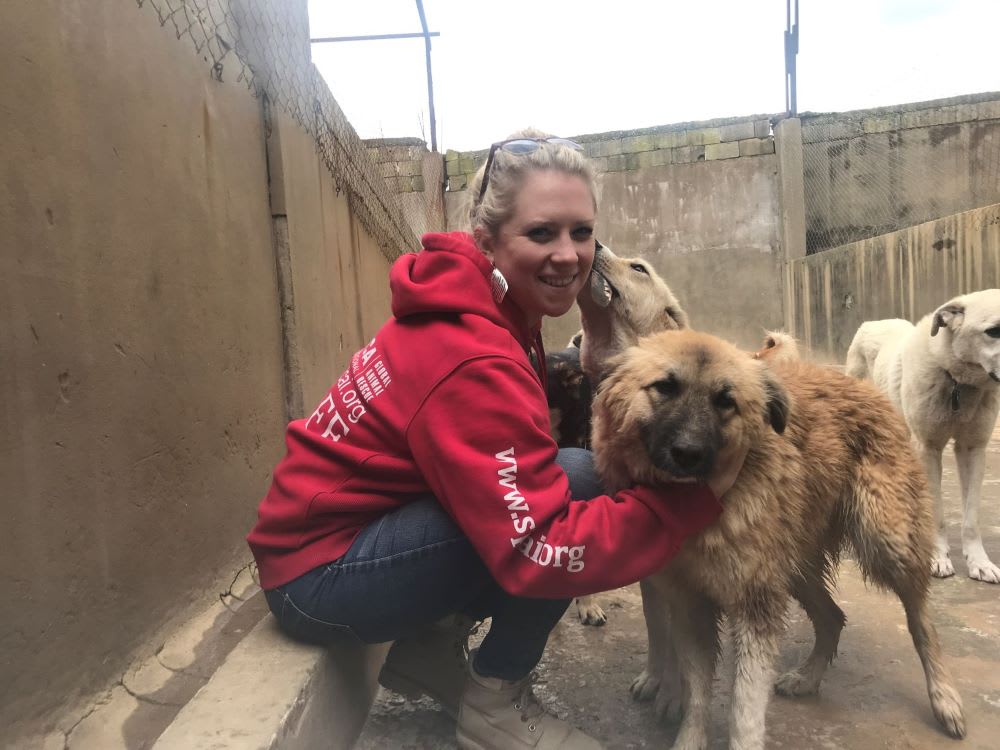 SPCAI staff and dog rescue: pets and mental health - pets for depression and anxiety - how do dogs help with anxiety - dogs and emotional health