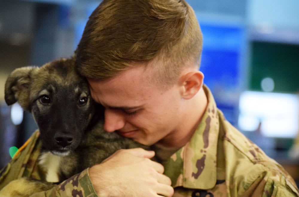 soldier and dog reunion photo: SPCAI staff and dog rescue: pets and mental health - pets for depression and anxiety - how do dogs help with anxiety - dogs and emotional health