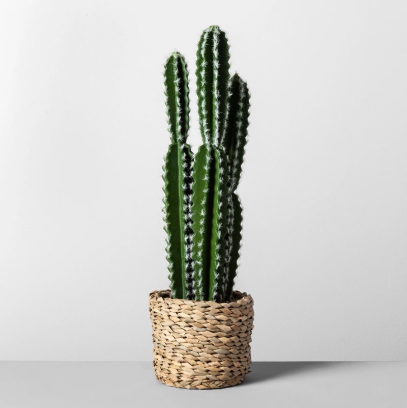 artificial cactus plant: target artificial plants, artificial plants and trees , faux plants, faux plants indoor, faux houseplants