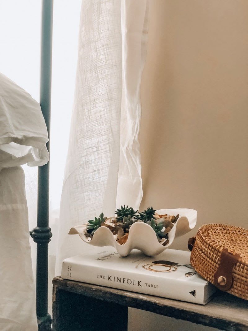 succultents on a desktop to show how to arrange indoor plants