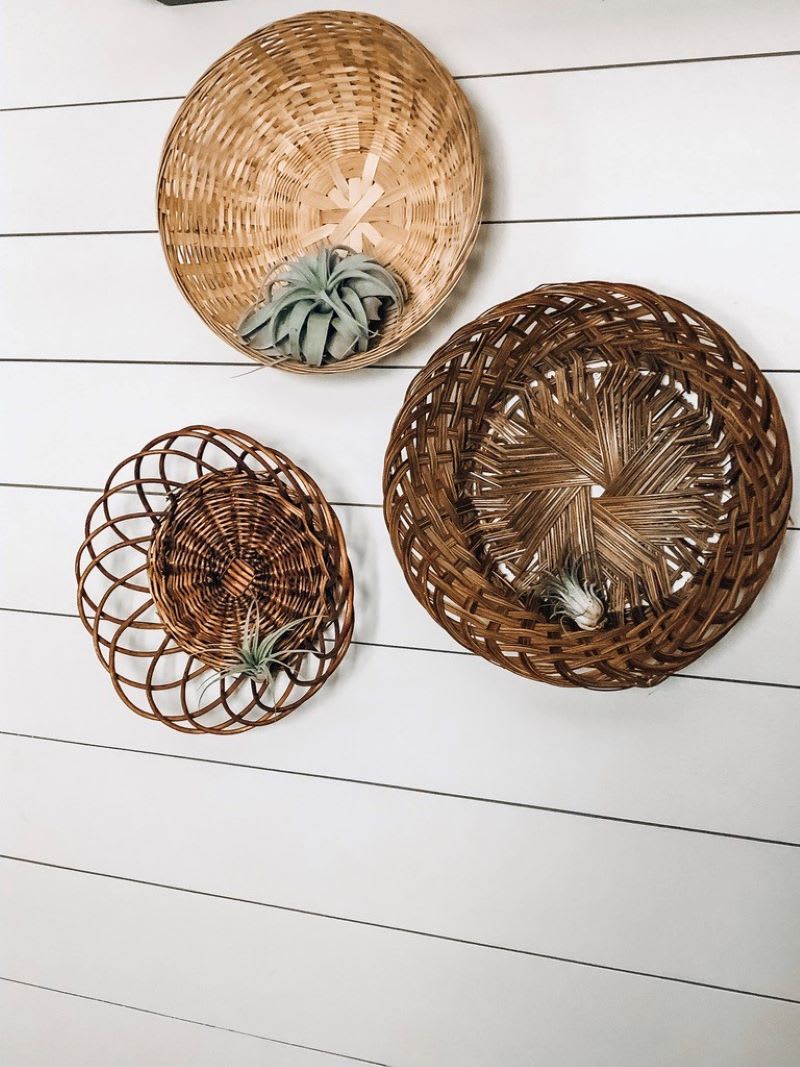 air plants in hanging woven bowls on wall to show creative ideas for plant containers