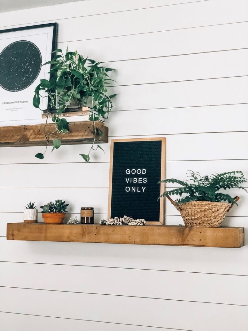 good vibes only letterboard on shelf with pet friendly indoor plants 