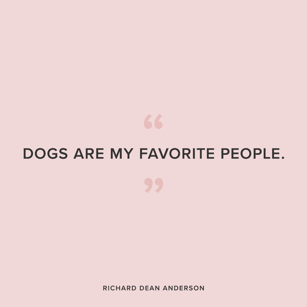 favorite people dog quote