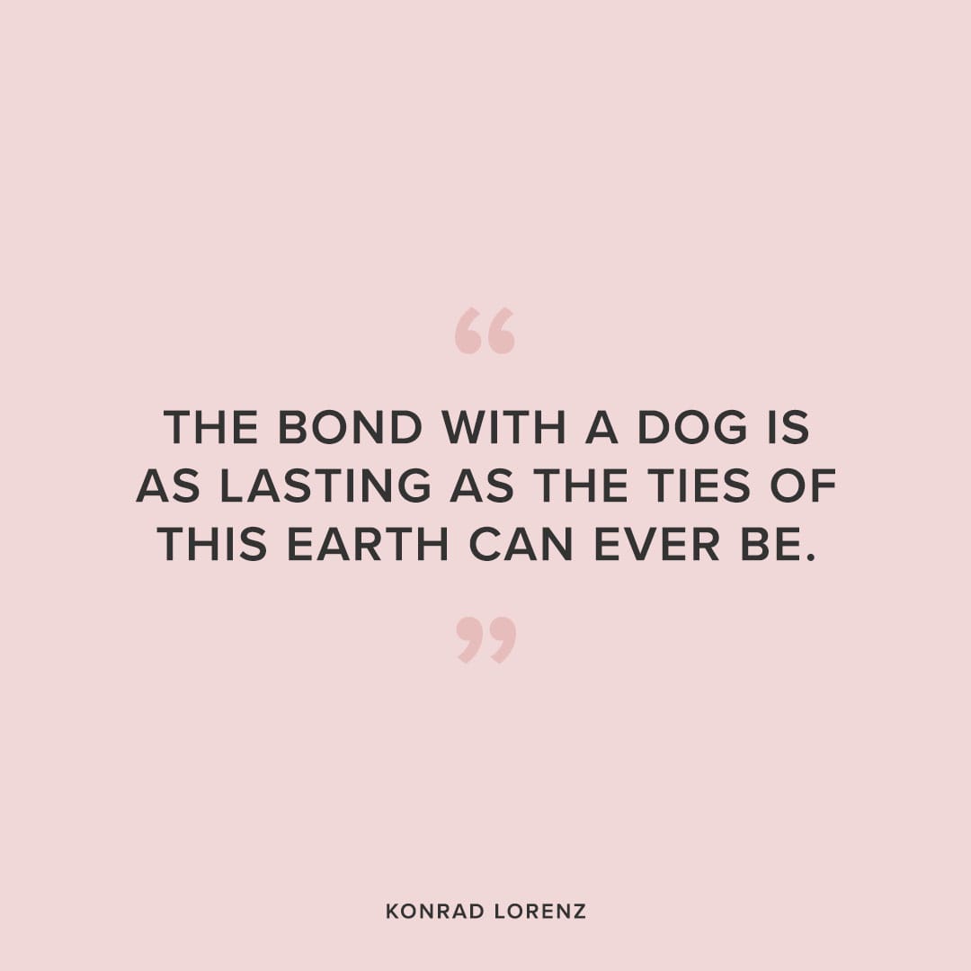 bond with a dog wuote