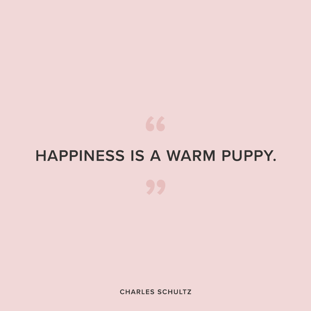 happiness is a warm puppy dog quote